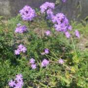 ヒメ日記 2025/12/08 11:18 投稿 にこ ニューティアラ