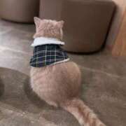 ヒメ日記 2026/01/26 00:25 投稿 まふゆ 栃木宇都宮ちゃんこ