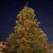 いおり 本日初出勤します✨️ 新宿・本格コスプレ美人秘書オフィスイメクラ「秘書課女子」