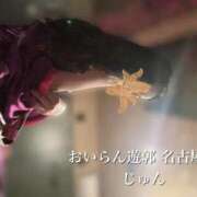 ヒメ日記 2025/12/10 21:00 投稿 じゅん おいらん遊郭