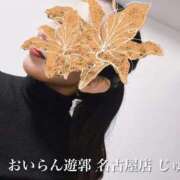 ヒメ日記 2026/04/15 20:15 投稿 じゅん おいらん遊郭