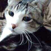 ヒメ日記 2026/02/10 20:54 投稿 さくま 熟女の風俗最終章 本厚木店