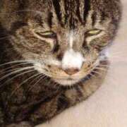 さくま 許さねえ 熟女の風俗最終章 本厚木店