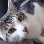 ヒメ日記 2026/03/16 13:31 投稿 さくま 熟女の風俗最終章 本厚木店