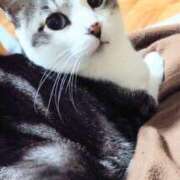 ヒメ日記 2026/04/05 00:51 投稿 さくま 熟女の風俗最終章 本厚木店