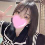 しおん くっつき虫 ロイヤル土佐