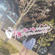 ヒメ日記 2025/12/09 23:23 投稿 理香-りか【FG系列】 ほんつま千葉店（FG系列）