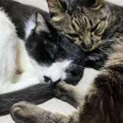 ヒメ日記 2025/12/19 04:28 投稿 神原 十恋人～トレンド～