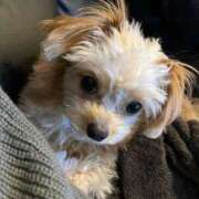 神原 出勤情報です? 十恋人～トレンド～