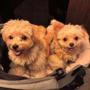 ヒメ日記 2026/03/03 23:04 投稿 神原 十恋人～トレンド～