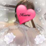 ヒメ日記 2025/12/31 18:07 投稿 春(はる) 待ちナビ