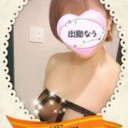 ヒメ日記 2026/01/14 13:15 投稿 春(はる) 待ちナビ