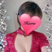 ヒメ日記 2026/01/18 12:25 投稿 春(はる) 待ちナビ