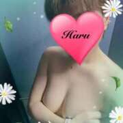 ヒメ日記 2026/02/25 13:35 投稿 春(はる) 待ちナビ