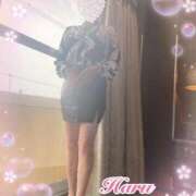 ヒメ日記 2026/04/08 10:05 投稿 春(はる) 待ちナビ