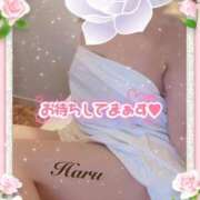 ヒメ日記 2026/04/20 13:19 投稿 春(はる) 待ちナビ