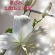 ヒメ日記 2025/12/12 15:00 投稿 まさみ 完熟ばなな川崎