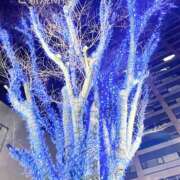 ヒメ日記 2026/02/22 11:35 投稿 まさみ 完熟ばなな川崎