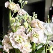 ヒメ日記 2026/03/02 23:52 投稿 まさみ 完熟ばなな川崎