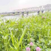 ヒメ日記 2026/04/29 09:39 投稿 まさみ 完熟ばなな川崎