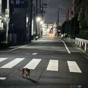 ヒメ日記 2026/06/20 20:22 投稿 まさみ 完熟ばなな川崎
