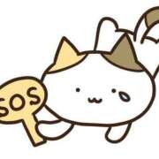 ヒメ日記 2025/12/30 12:47 投稿 かほ★ プリマドンナ