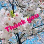 ヒメ日記 2026/04/13 13:18 投稿 ゆり 福岡ちゃんこ大牟田店