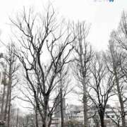 ヒメ日記 2026/02/08 14:34 投稿 まさみ 完熟ばなな 横浜