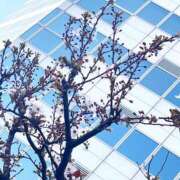 ヒメ日記 2026/03/22 07:39 投稿 まさみ 完熟ばなな 横浜