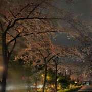 ヒメ日記 2026/03/31 06:06 投稿 まさみ 完熟ばなな 横浜