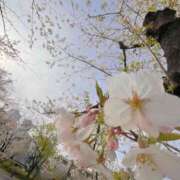 ヒメ日記 2026/04/05 09:37 投稿 まさみ 完熟ばなな 横浜