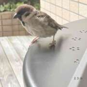 ヒメ日記 2026/06/26 10:58 投稿 まさみ 完熟ばなな 横浜