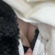 ヒメ日記 2025/12/08 21:08 投稿 るる ピンクコレクション大阪