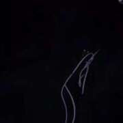 るる 出勤しました❣️ ピンクコレクション大阪