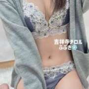 ふぶき はじめまして！ 吉祥寺チロル（シンデレラグループ）