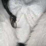 ヒメ日記 2026/01/12 14:35 投稿 るる ピンクコレクション大阪キタ店