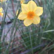 ヒメ日記 2026/04/01 17:47 投稿 松岡 あなたに逢いたくて