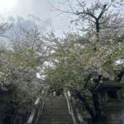 ヒメ日記 2026/04/06 18:27 投稿 松岡 あなたに逢いたくて