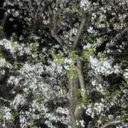 ヒメ日記 2026/04/09 18:47 投稿 松岡 あなたに逢いたくて