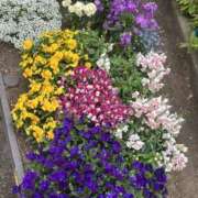 ヒメ日記 2026/04/15 14:57 投稿 松岡 あなたに逢いたくて