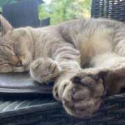 ヒメ日記 2026/01/22 19:43 投稿 琥珀 渋谷 風俗 奥様発情の会