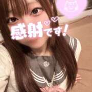 ヒメ日記 2025/12/08 19:53 投稿 にも ホワイトハウス