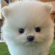 ヒメ日記 2026/02/01 12:50 投稿 さわ 44 heart ～ヨンヨンハート～