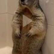 ヒメ日記 2026/03/22 10:20 投稿 さわ 44 heart ～ヨンヨンハート～