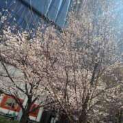 ヒメ日記 2026/03/29 08:30 投稿 速水りりあ ヌルテカ