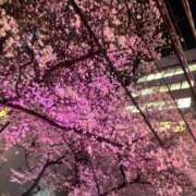 ヒメ日記 2026/03/31 08:30 投稿 速水りりあ ヌルテカ