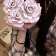 ヒメ日記 2025/12/16 12:45 投稿 ことり ゴッドハンド