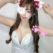 ヒメ日記 2025/12/10 01:42 投稿 ねこ Evolution 2nd