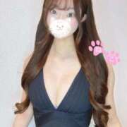 ヒメ日記 2025/12/10 11:32 投稿 ねこ Evolution 2nd