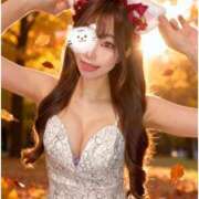 ヒメ日記 2025/12/12 07:52 投稿 ねこ Evolution 2nd